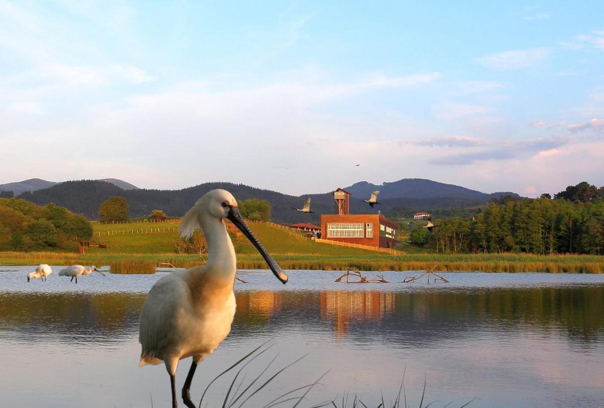Villa Adosado en la costa con excelentes vistas al estuario de Urdaibai Mundaka Exterior foto